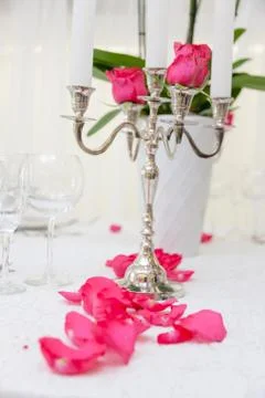 Wedding table with flowers Stock Photos