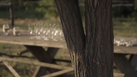 Wedding table Stock Footage 94475700