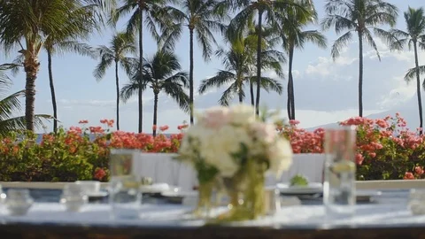 Wedding table for newlyweds on the background of palm trees on the ocean shore Stock Footage 101117201