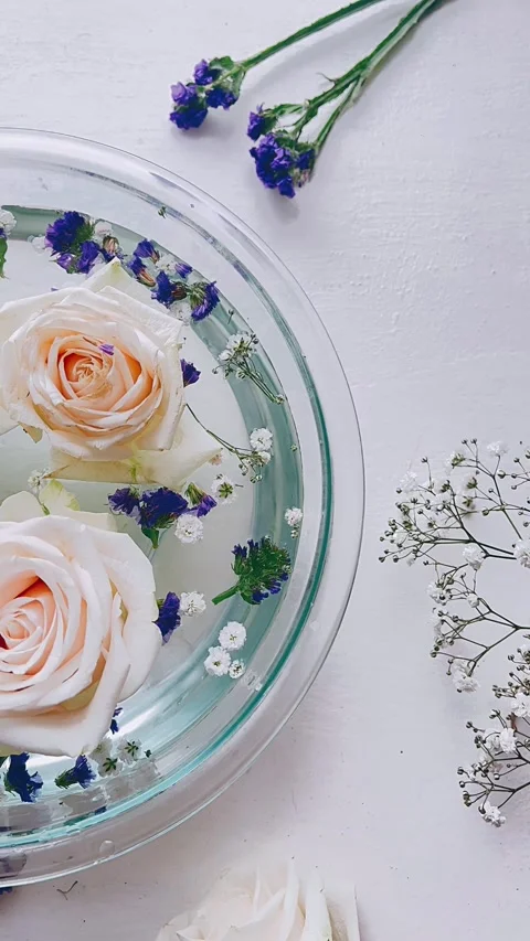 Wedding table setting, bowl of roses, white roses, beautiful roses, roses, Stock Footage 240555641
