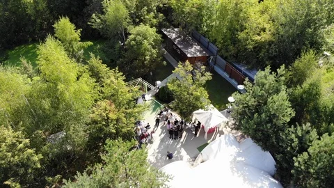 A wedding tent in a beautiful forest Stock Footage 118617535