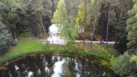 A wedding tent in a beautiful forest Stock Footage 118617745