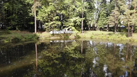 A wedding tent in a beautiful forest Stock Footage 118617806