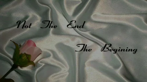 Wedding titles #1 Stock Footage 475273