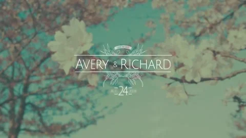 Wedding Titles Stock After Effects