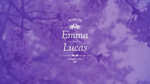 Wedding Titles After Effects stock