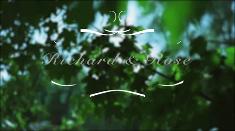 Wedding Titles HD Stock After Effects