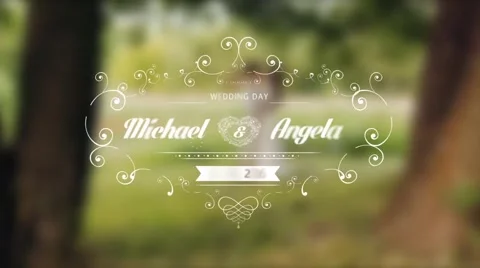 Wedding Titles Pack Stock After Effects