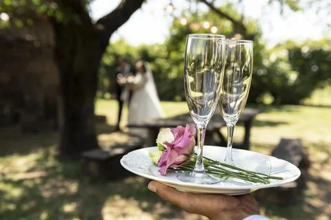 Wedding toast Stock Photos