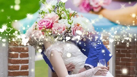 Wedding Transitions 库存 After Effects