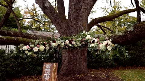 Wedding Tree Arbor with Flower Rose Arrangement Stock-Footage 149708886