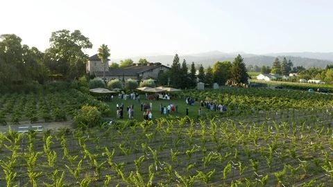 Wedding at Sattui Napa Sunset Aerial Stock Video Pond5