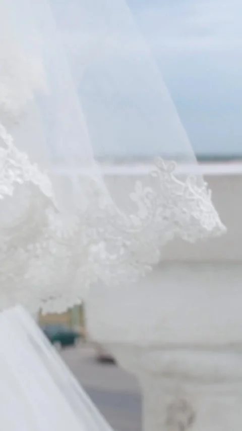 Wedding veil, bride, wedding, river in the background, no person Stock Footage 311999414