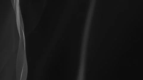 Wedding Veils Overlay Video stock 274131450