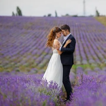 Wedding walk on a field of lavender. Stock Photos