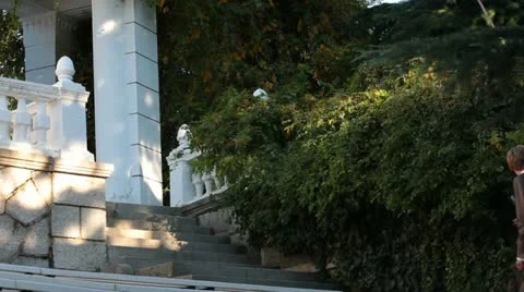 Wedding Walk 스톡 동영상 22325686