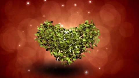 Wedding Walk in Nature After Effects素材