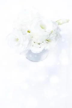 Wedding White Roses Stock Photos