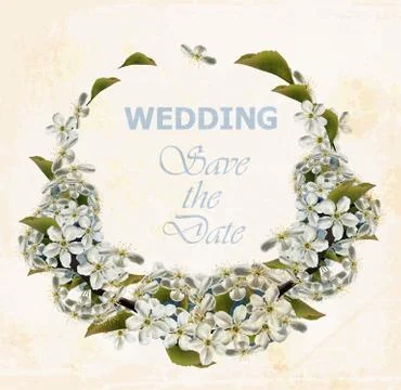 Wedding wreath with Cherry flowers Vector. Beautiful spring round frames Illustrazione stock