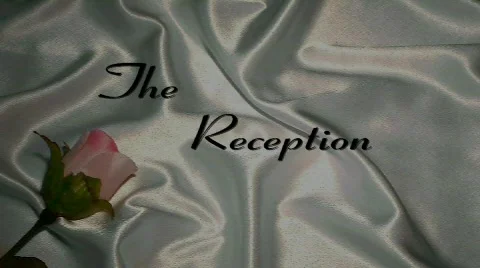 Wedding#2 Stock Footage 475279