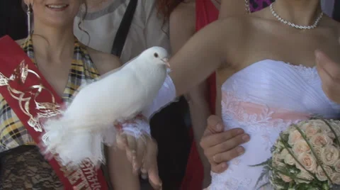 Wedding2 Video stock 987898