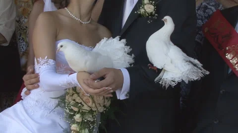 Wedding3 Video stock 987937