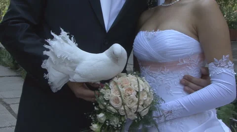 Wedding4 Video stock 988001