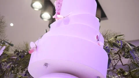 Weddings cake 4 Stock Footage 315417912