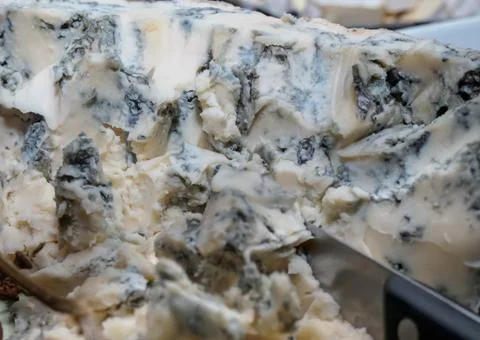 Wedge of blue cheese on the table Photos