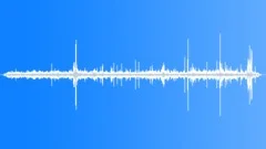Wedge Capped Capuchin CapuchinsSound Effect