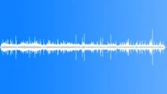 Wedge Capped Capuchin CU Sound Effect