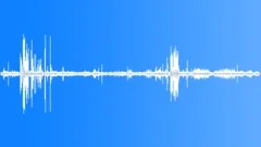 Wedge Capped Capuchin Encounter Sound Effect