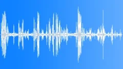 Wedge Capped Capuchin LoudSound Effect