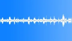 Wedge Capped Capuchin MCU Sound Effect