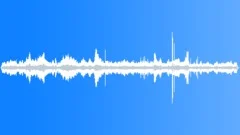 Wedge Capped Capuchin MDMcu Sound Effect