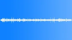 Wedge Capped Capuchin RustlingSound Effect