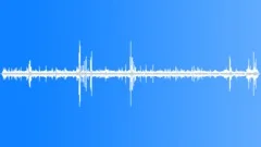 Wedge Capped Capuchin Snapping Sound Effect