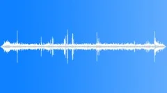 Wedge Capped Capuchin SoundsSound Effect