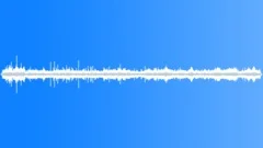 Wedge Capped Capuchin SoundsSound Effect