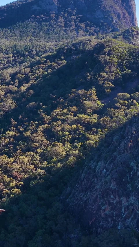 Wedge-Tailed Eagle Flying Over Warrumbungle National Stock Footage 340865981