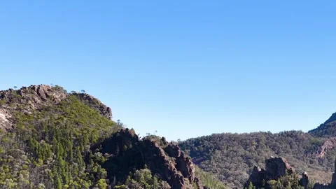 Wedge-Tailed Eagle Soaring Over Rugged Mountain Range Stock Footage 340881375