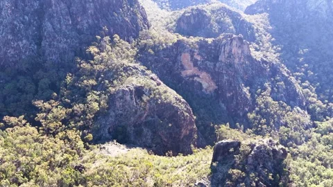 Wedge-Tailed Eagle Soaring Over Rugged Mountain Cliffs and Eucalyptus Forest Stock Footage 341068132