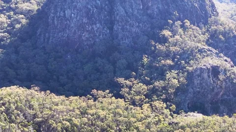 Wedge-Tailed Eagle Soaring Over Warrumbungle National Park Mountain Range Stock Footage 341069179