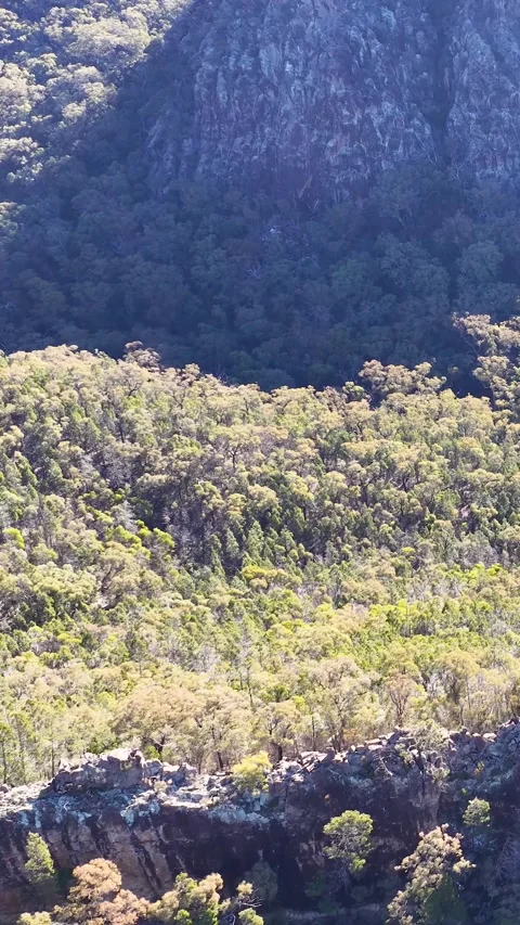 Wedge-Tailed Eagle Soaring Over Warrumbungle National Park Mountain Range Stock Footage 341069419