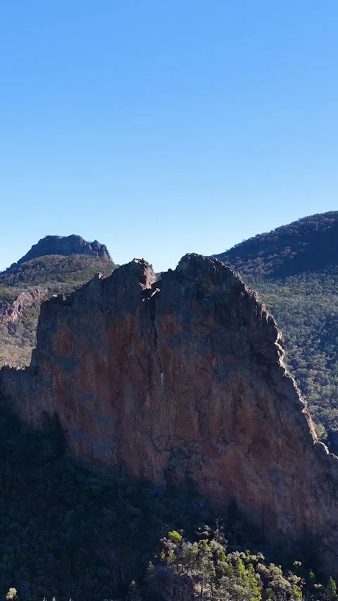 Wedge-Tailed Eagle Soaring Over Warrumbungle National Park Cliffs Stock Footage 341301667