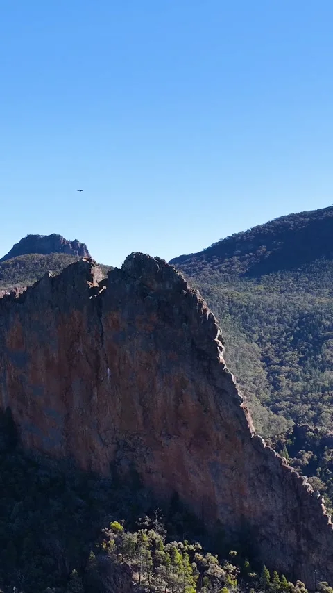 Wedge-Tailed Eagle Soaring Over Warrumbungle National Park Cliffs Stock Footage 341323008