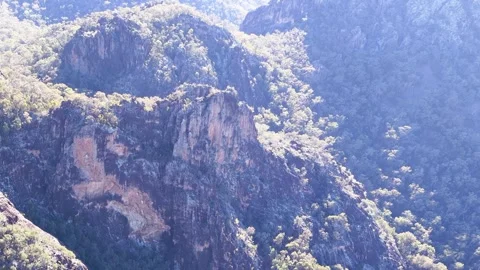 Wedge-Tailed Eagle Soaring Over Rugged Mountain Cliffs and Eucalyptus Forest Stock Footage 341373871