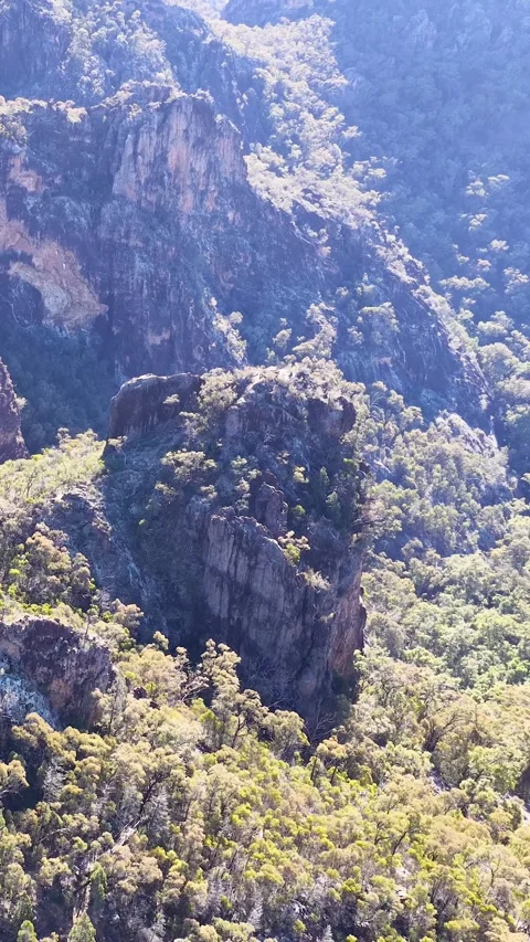 Wedge-Tailed Eagle Soaring Over Warrumbungle National Park Mountain Cliffs Stock Footage 341376858
