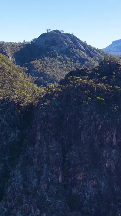 Wedge-Tailed Eagle Soaring Over Warrumbungle National Park Cliffs Stock Footage 341473420