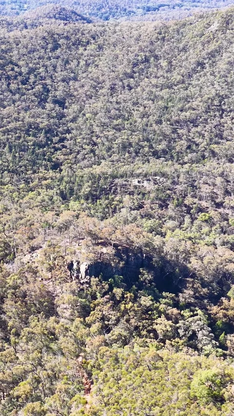 Wedge-Tailed Eagle Soaring Over Warrumbungle National Park Mountain Range Stock Footage 341536282
